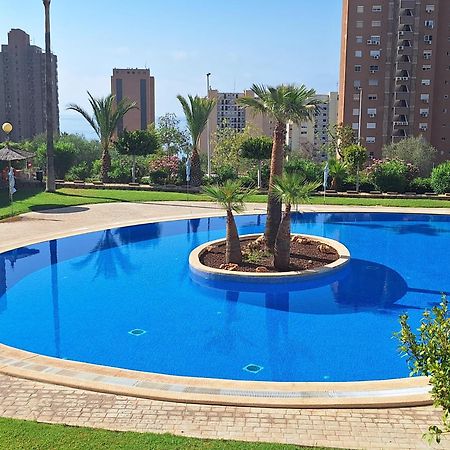 شقة Las Marinas, Apartamento Muy Amplio Cerca De La Playa بينايدورم المظهر الخارجي الصورة
